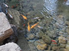 -森谷美食公园(杨行店)