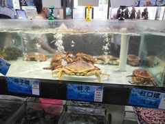 -天鹰观渔(梦园店)