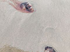 -嵊泗基湖沙滩