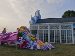 -杭州湾海上花田景区