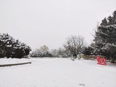 -旅顺博物馆
