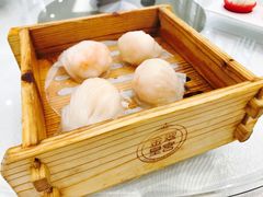 -金翠皇宫粤菜·点心·海鲜(科技园店)