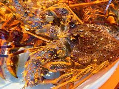 -万龙洲海鲜(大兴绿地缤纷城店)