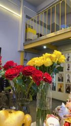 -YASAKI国际舞蹈中心