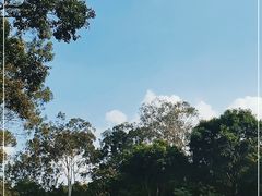 -广州市白云山风景名胜区