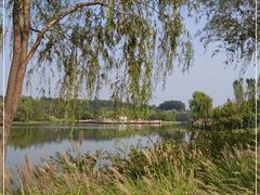-东郊湿地公园