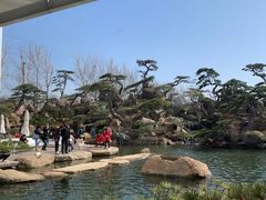 -罗红摄影艺术馆