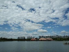 -上海长兴岛郊野公园