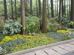 -苏堤停车场