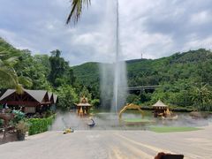 -西双版纳原始森林公园