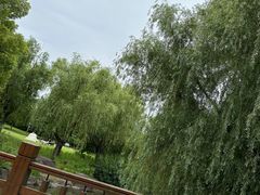 -上海滨江森林公园