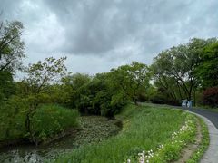 -西溪国家湿地公园