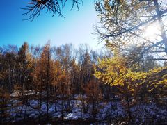 -塞罕坝国家级自然保护区