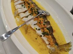 -东方红酒楼(知春路店)