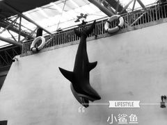 -青岛东方影都融创水世界