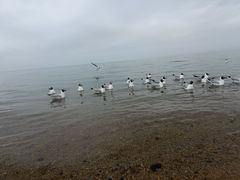 -青海湖二郎剑景区