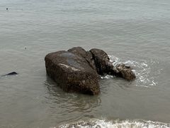 -黄金海岸环岛路