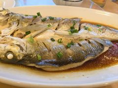 -晓琦农家菜馆·地道农家菜