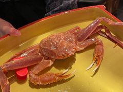 -蟹榭·本帮江浙菜·蟹宴(五角场合生汇商场店)