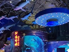 -烟台海昌鲸鲨海洋公园