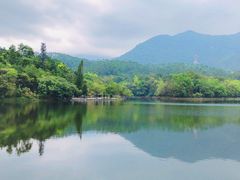 -深圳仙湖植物园