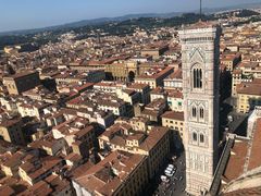 -圣母百花大教堂穹顶