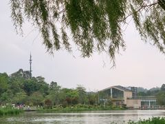 -东莞植物园
