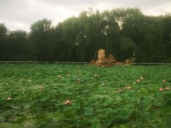 -护国法轮寺