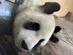 -宁波野生动物园