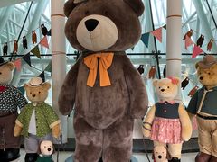 -济州岛泰迪熊博物馆