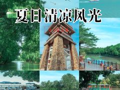 -大湾区中央湿地公园