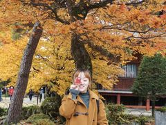 -医王山·飞騨国分寺