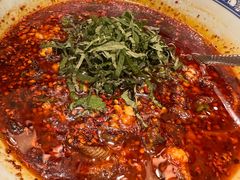 -陈麻婆豆腐总店