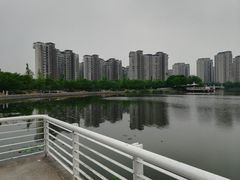 -新江湾城公园