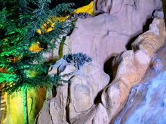 -禅宗少林·音乐大典