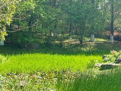 -南山风景名胜区
