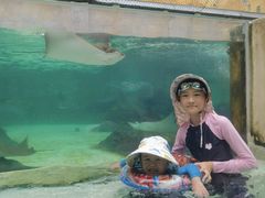 -新加坡水上探险乐园