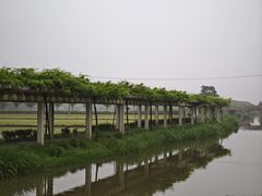 -嘉北郊野公园