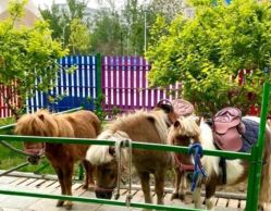 -萌宠亲子动物乐园(槐房万达店)