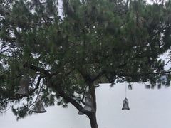 -云禾壹海景庄园餐厅