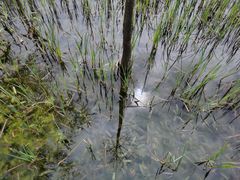 -昆山城市生态森林公园