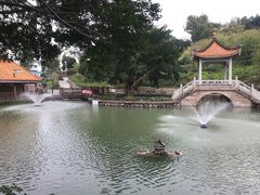 -郑和公园