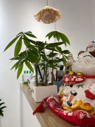 -YINAIL日式美甲美睫半永久品牌专业店