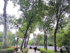 -莲湖公园