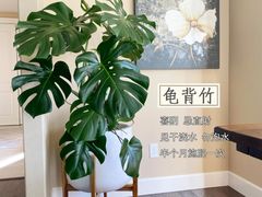 -李村大集