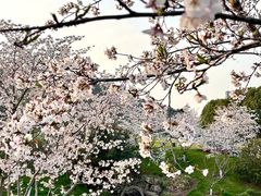 -羊山湖公园