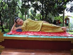 -瑞丽独树成林风景区