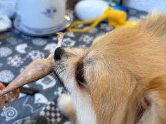 -朕悦鹧鸪饭私房菜