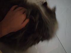 -上海纺织博物馆