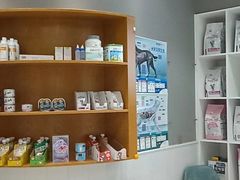 -关爱宠物医院·猫科中心·消化科(滨湖万达分院)